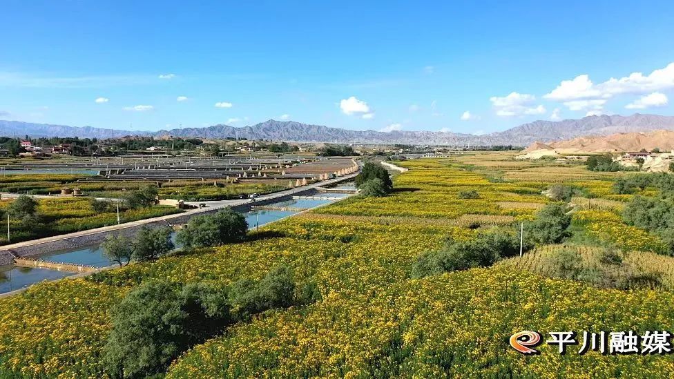 白银市平川区:激活一项产业 带富一方百姓_腾讯新闻