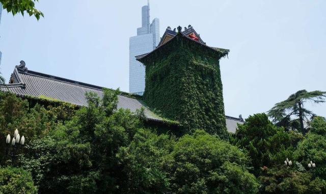 全球世界名校排行榜_22世界大学排名来了,快来看看你的院校上榜学科有多少(2)