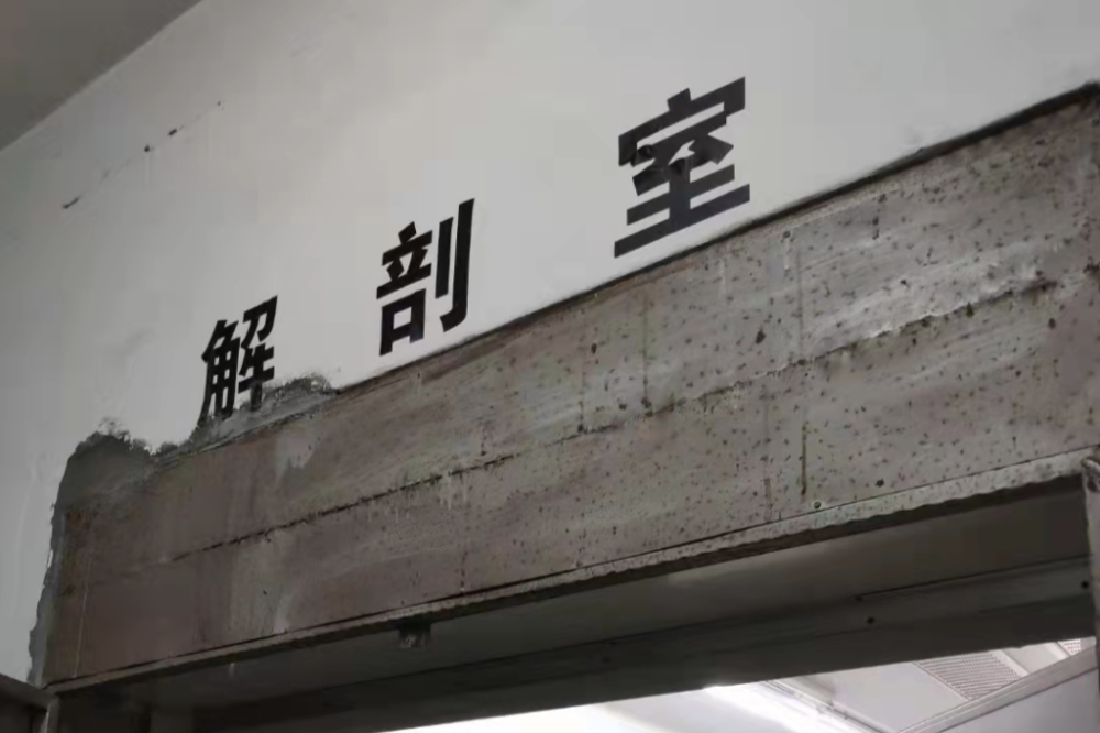 医院解剖室除了处理遗体,雷子更多时间需要在太平间值班.