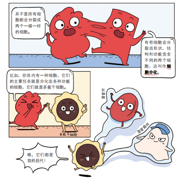 今天想為被黑出天際的天坑專業生物學正個名