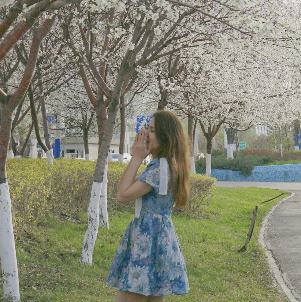 远景还是近景都很有春日氛围首先当然是需要一棵枝繁叶茂的树啦~拍摄