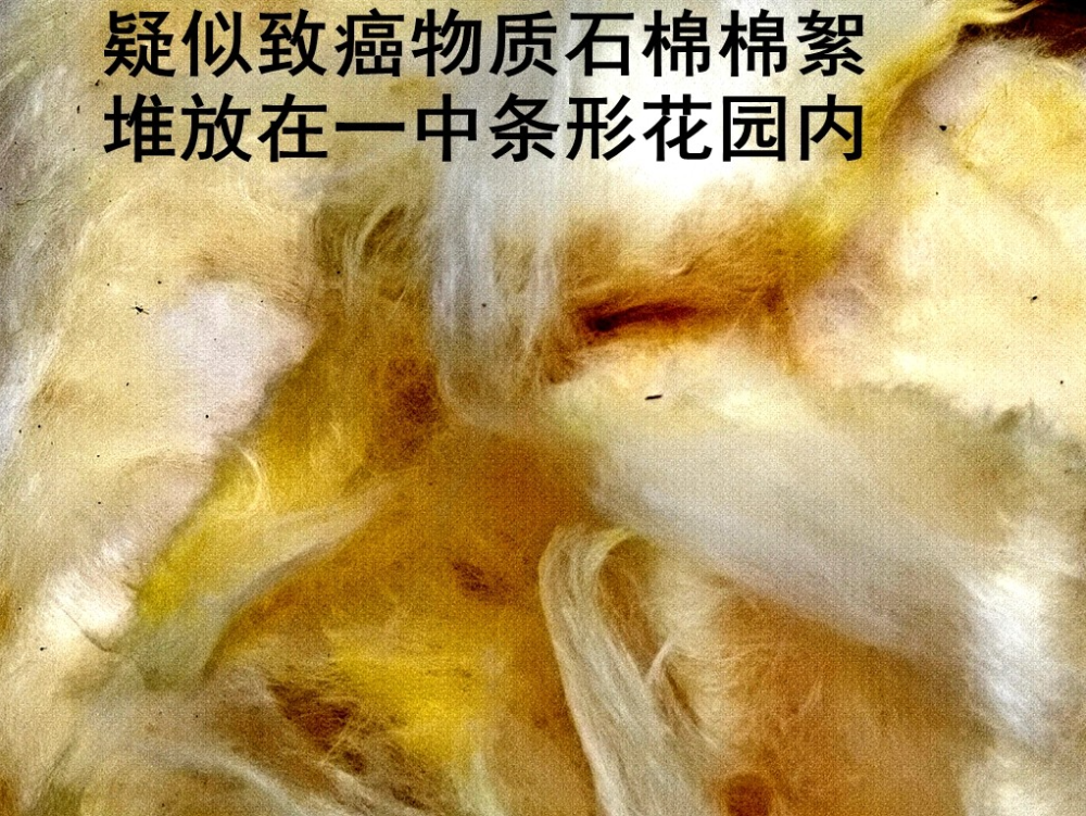 石棉事件图片