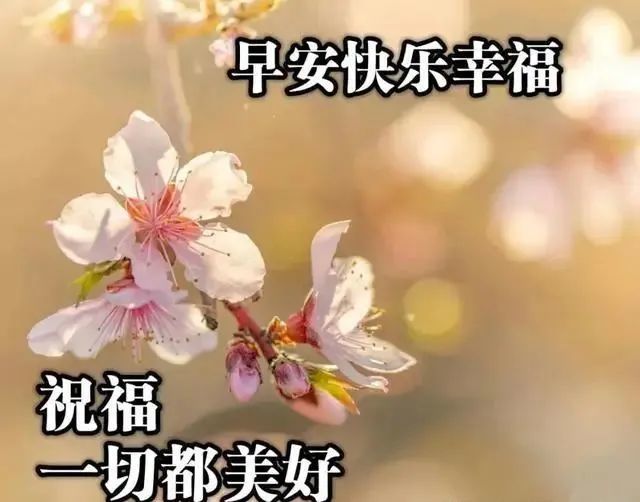 早上好,問個好,心情好,有你真好,早安祝福