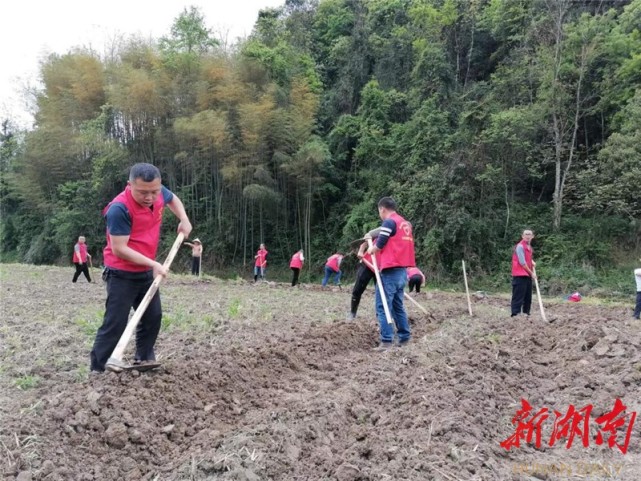 保靖县复兴镇多举措抢农时促春耕
