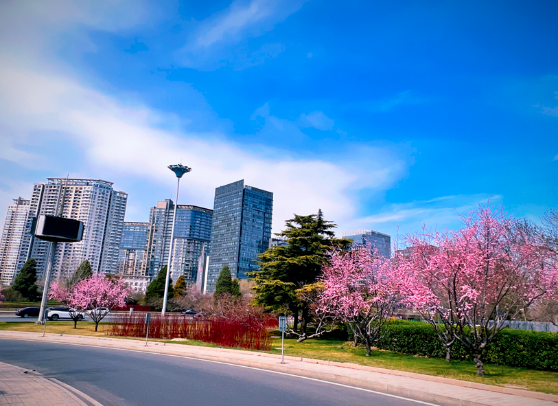 北京的春天，是一种什么感觉？小学日常口语英语