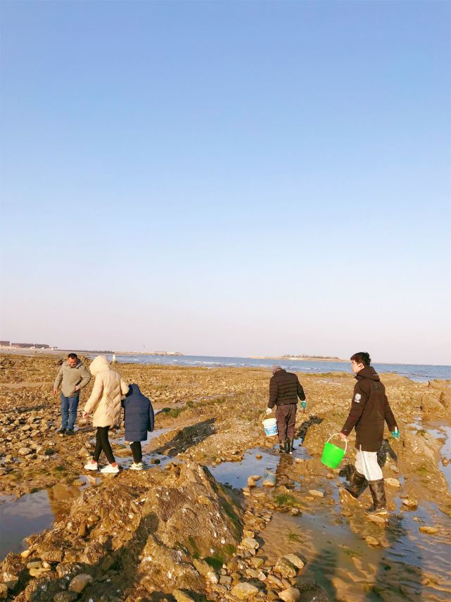 山東日照趕海地大盤點,人少又能免費的日照趕海好去處