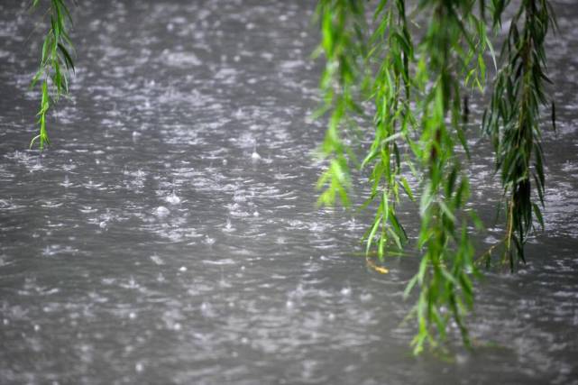 第一场春雨的图片图片