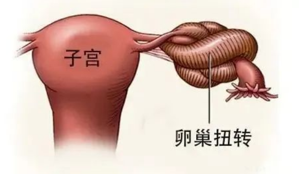 試管dhea吃到什麼時候停試管dhea哪個牌子好