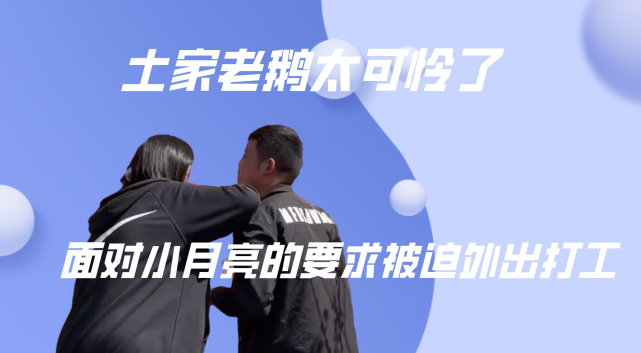 土家老鹅太可怜了,面对小月亮的要求显无奈,被迫外出打工