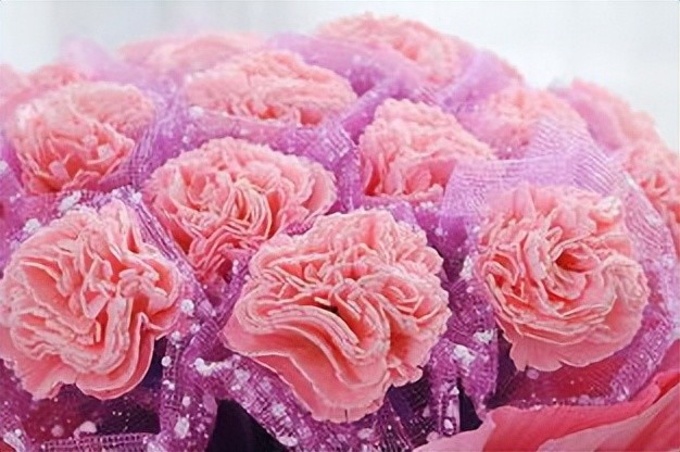 康乃馨之吻 腾讯网