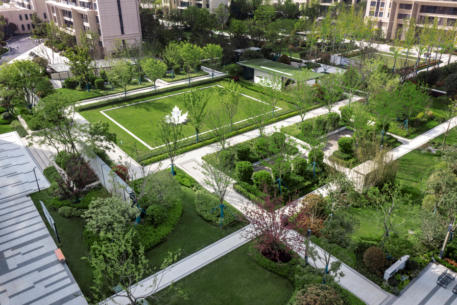 与春奔现和旭辉江山境一起探秘自然