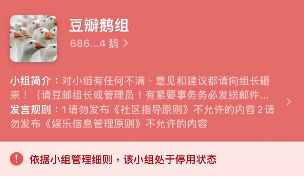 鹅组停用豆瓣停用7个问题小组