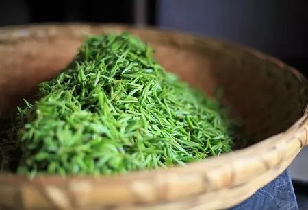 陆羽茶交所分享舌尖上的非遗绿茶有15项非物质文化遗产