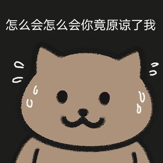 有点周杰伦歌词味道的表情包【633期】