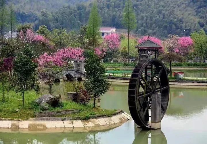 山水桃花江 天下美人窝|乡村旅游助力乡村振兴特别策划:藏匿在半山间