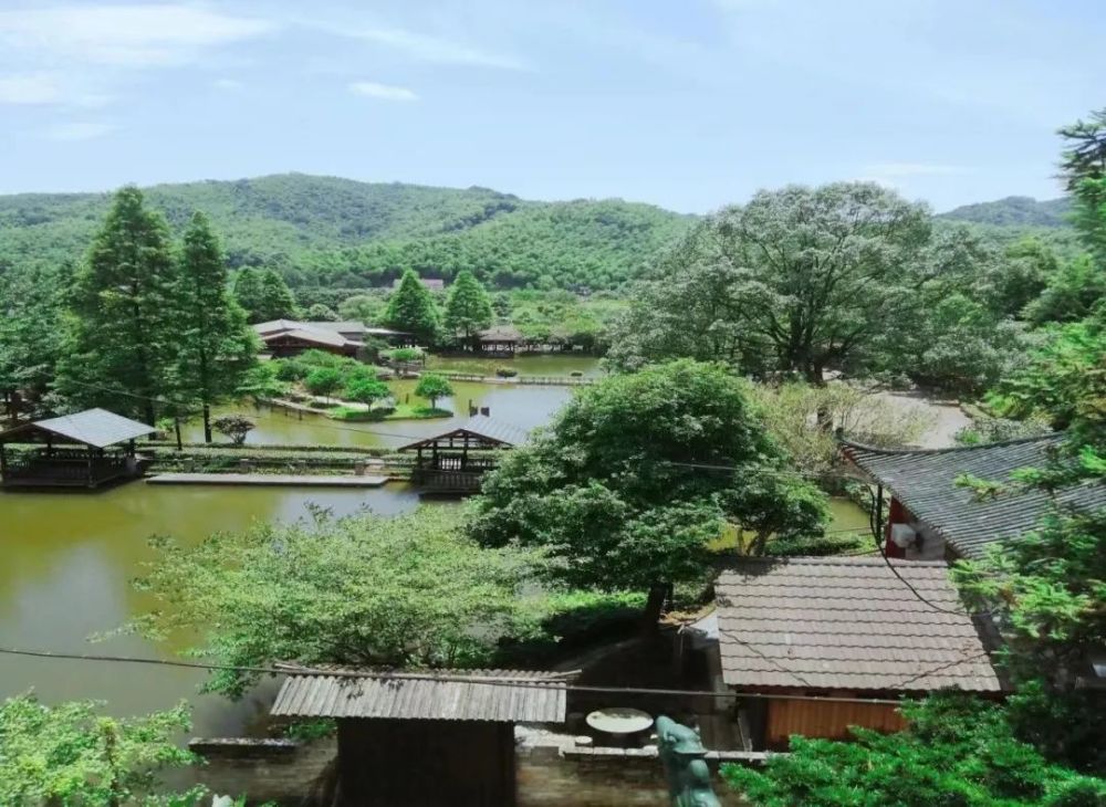 山水桃花江 天下美人窝|乡村旅游助力乡村振兴特别策划:藏匿在半山间
