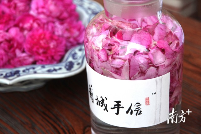 荼薇复开:中山"乡村工匠"以小荼薇撬动大产业