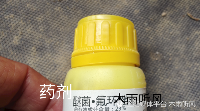 氟环唑能防治什么病害|叶枯病|氟环唑|杀菌剂|防治|大蒜