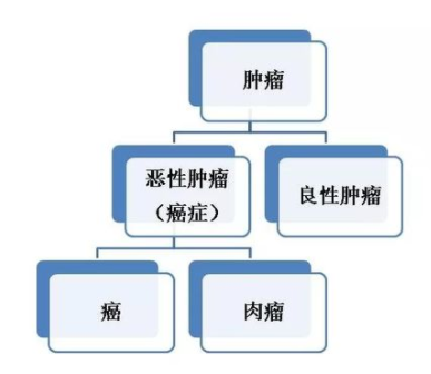 良性肿瘤生长速度通常比较缓慢,在其生长地局部向外呈