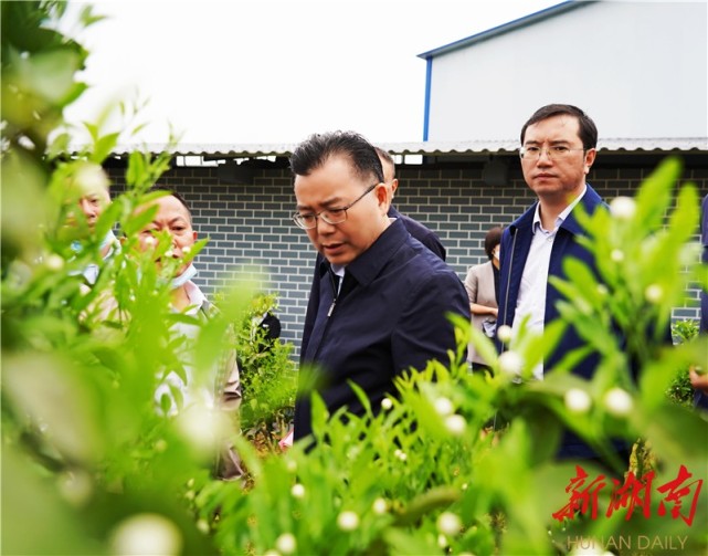 古丈县领导麻学清,曾传文,宋祖林,向上,郑良武,刘学书参加现场推进会.