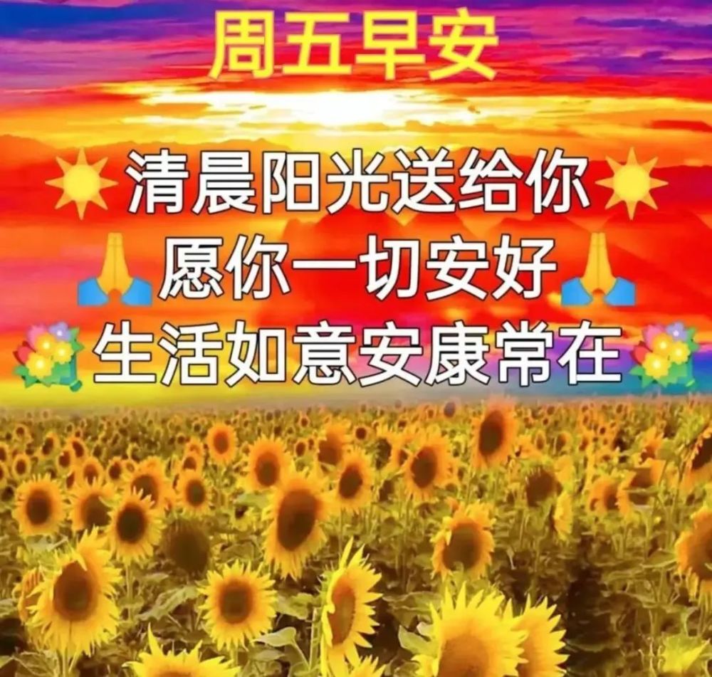 周五早上好问候语图片大全早上好的句子早上好祝福语录早安问候语更新