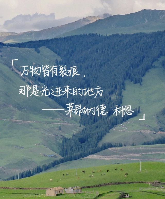 适合做个性签名的文案