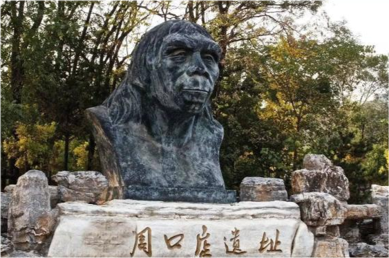 50万年前的秘密,北京猿人没混到食物链顶,却成了蚕食同类的恶魔