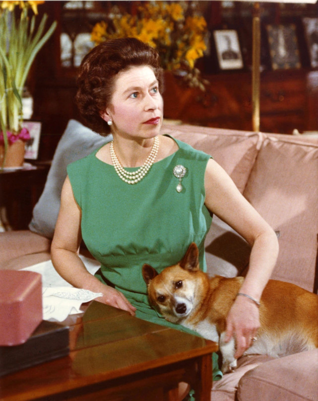 95岁英女王一周缺席两项重要活动引发健康担忧查尔斯忙碌