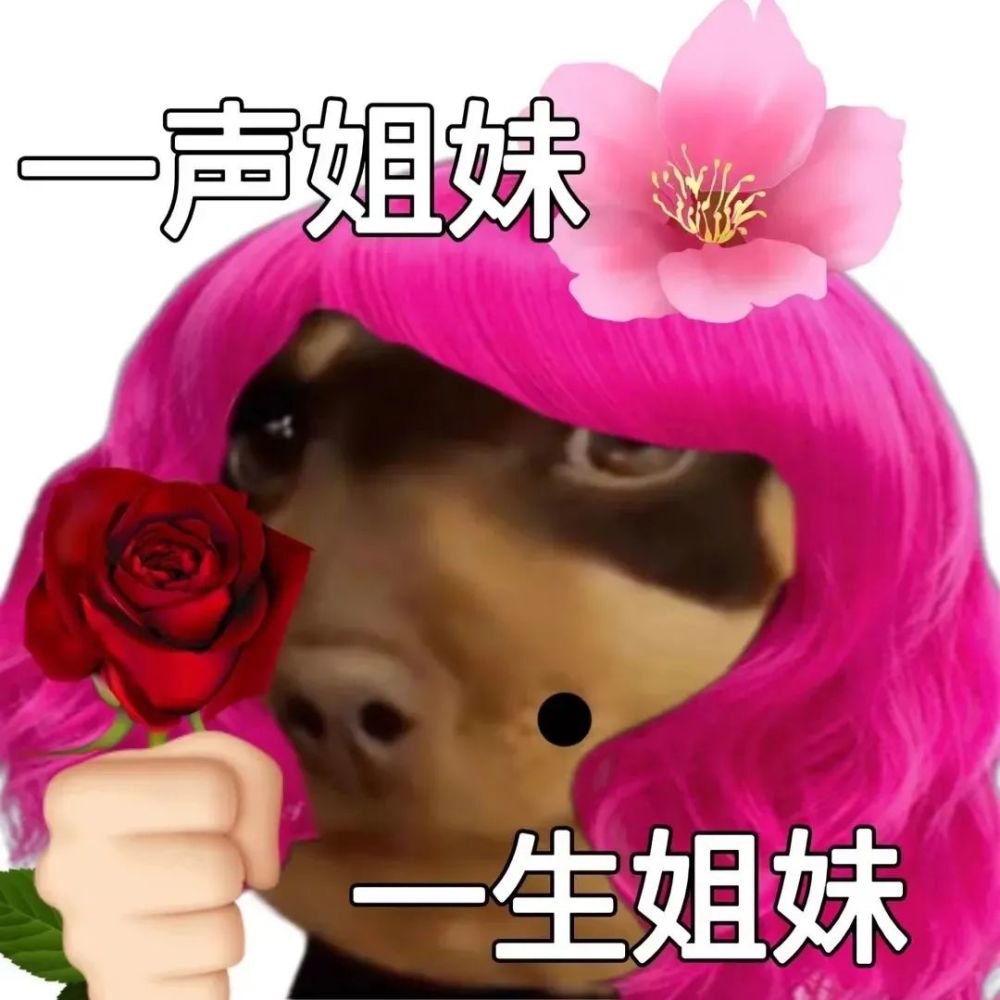 可爱沙雕表情包:一声姐妹 一生姐妹_腾讯新闻