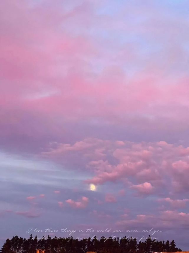 开满了蓝紫色的小花,下班回家的街道上,天气晴好的日子里,迎着天空