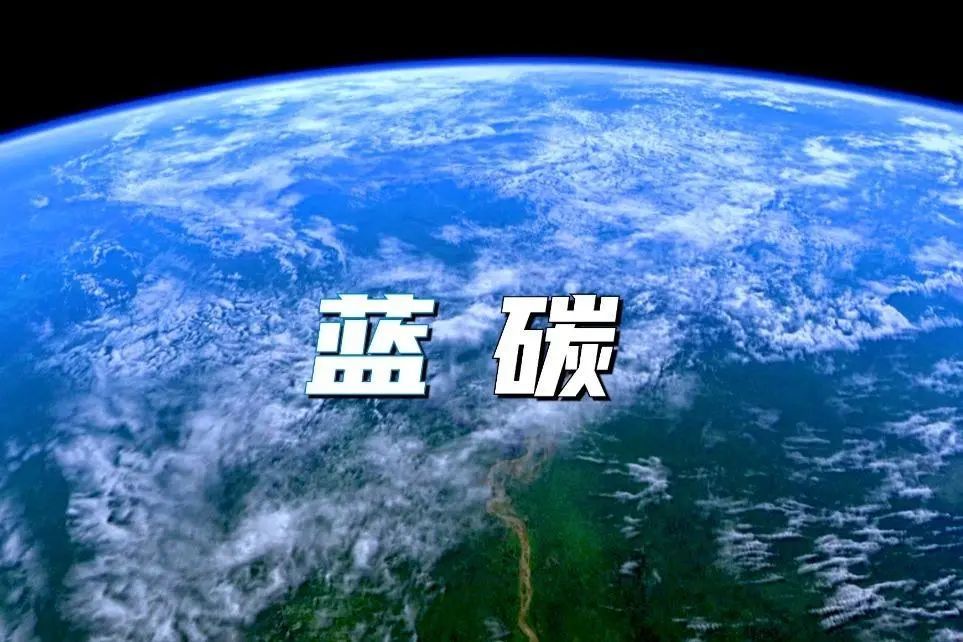 蓝碳,又称蓝色碳汇,指的是利用海洋活动及海洋生物吸收大气中的