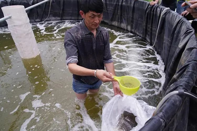 龙里湾滩河新建项目图片