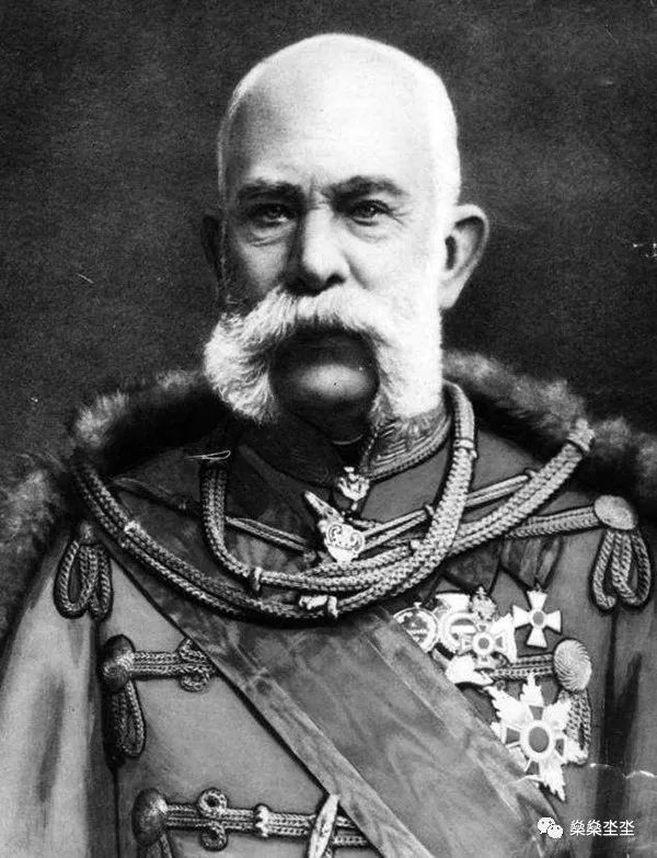 主义者刺杀身亡……孤寡的皇帝不得不将储君之位交给侄子斐迪南大公