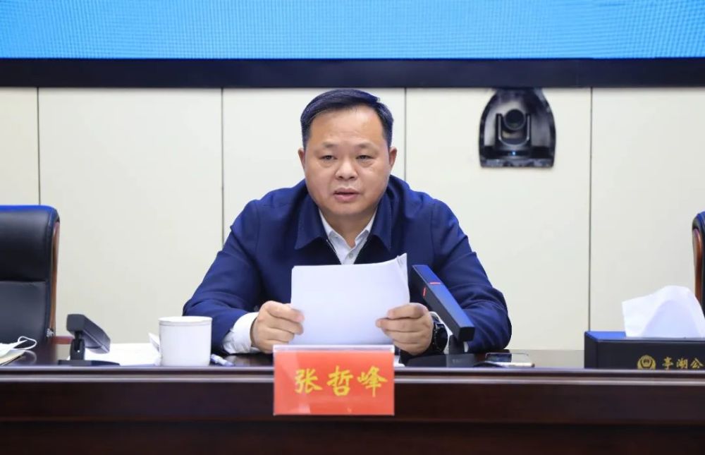 张哲峰出席会议并讲话,副区长,公安分局党委书记,局长迮大猛主持会议