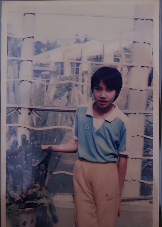 虽然谢杏芳现在看起来很幸福,生活过得都很顺利.