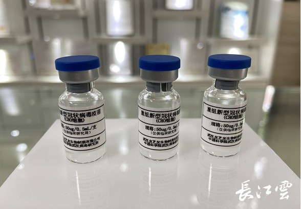 汉产新冠重组蛋白疫苗已进入临床试验
