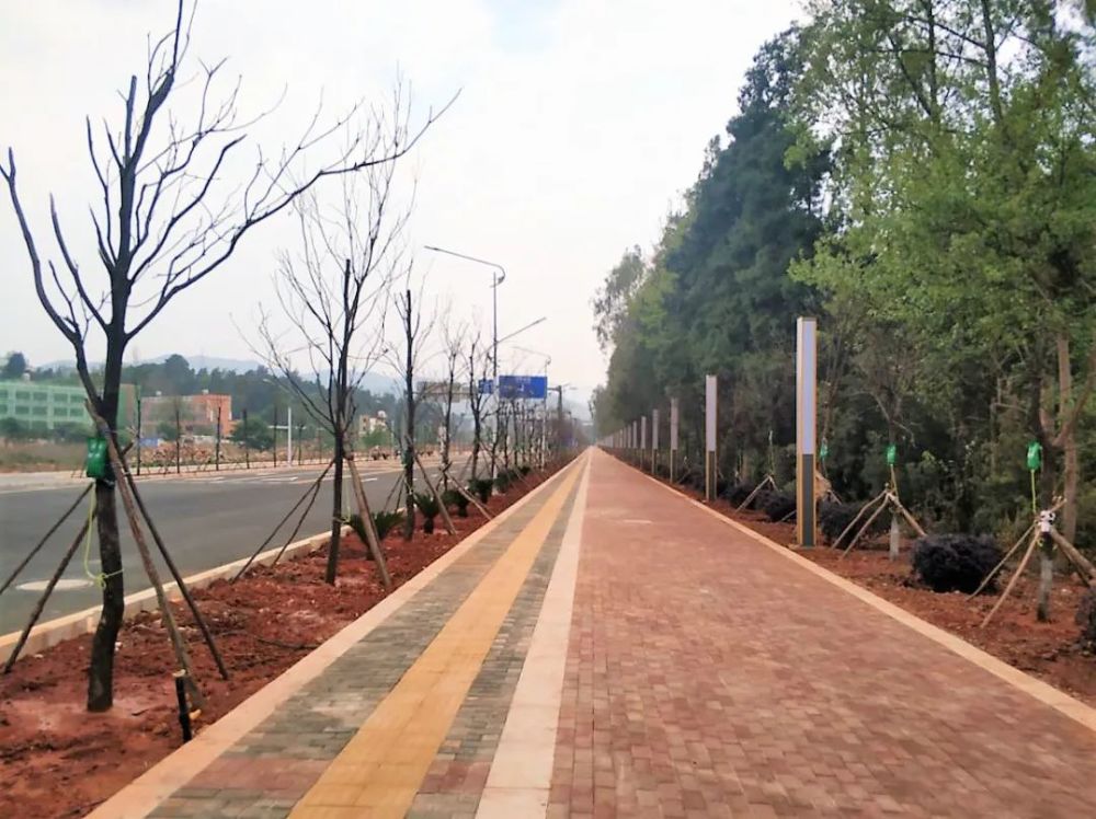 顺利试通车记住这条路叫河滨南路