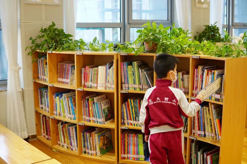 这个学校图书馆成为国内首个获此殊荣的小学图书馆QQxml卡片一键生成