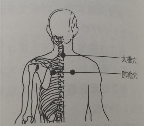 老中医教你:它是身体自带的"感冒药",风寒,风热都能治!