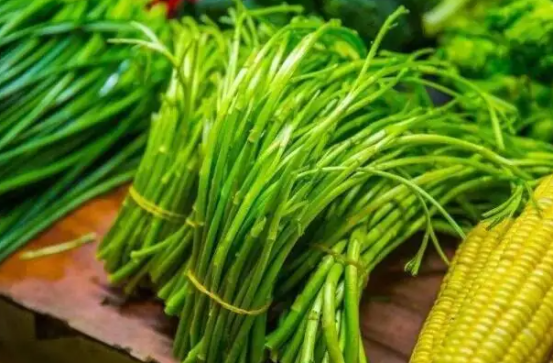 今天我朗读芦蒿薹作者姚维儒朗读者郭庆