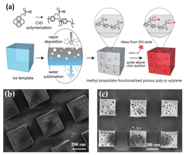 (a) 製備聚 ((丙炔酸甲酯-對二甲苯)-co-(對二甲苯)) 多孔結構的示意