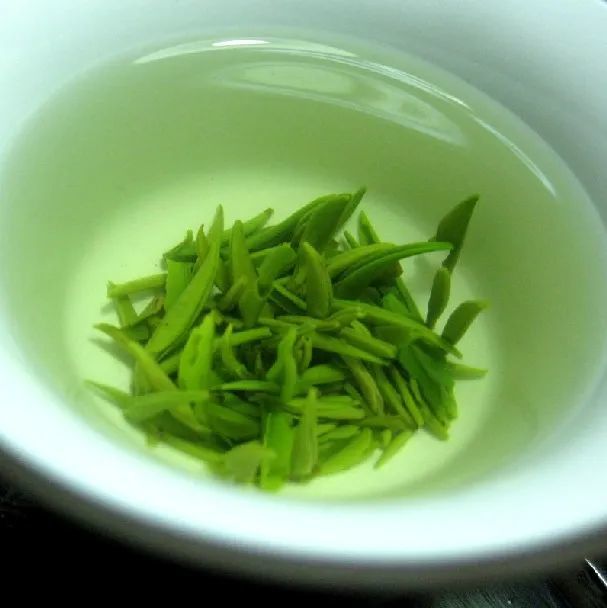 寻茶记最是人间四月天都藏在这一杯春茶里