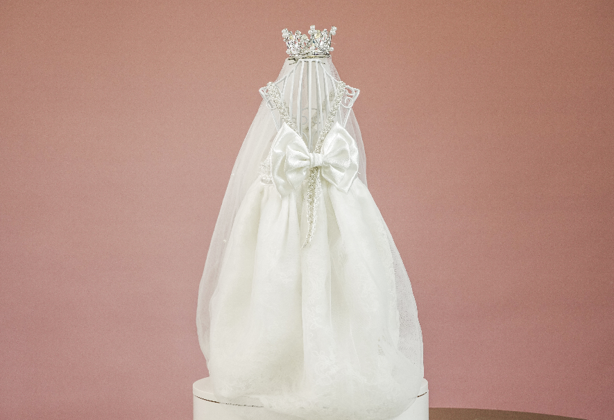 宠物衣服品牌排行榜_主打新材料新设计,宠物服装品牌Lazyeazy月销数十万背后如何诠释新...(2)