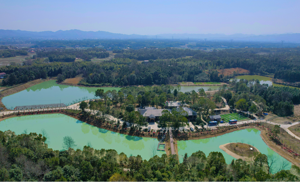 山水桃花江天下美人窝乡村旅游助力乡村振兴特别策划坐落山间的岛屿京