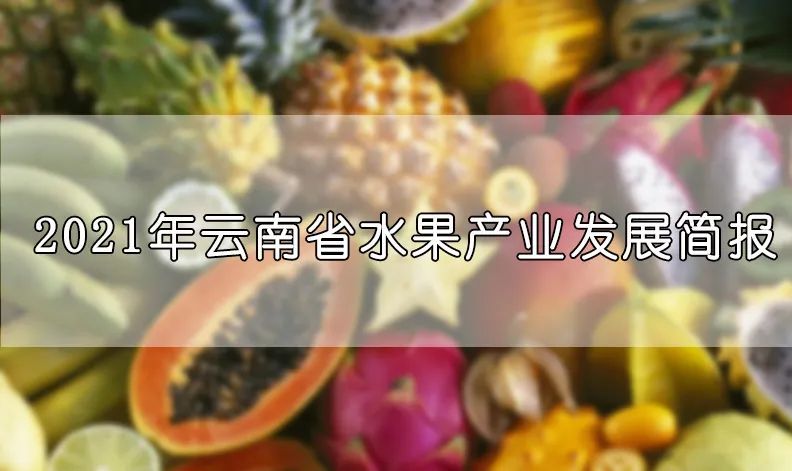 2021年云南省水果产业发展数据报告