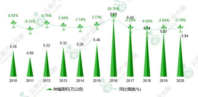 2021年云南省水果产业发展数据报告