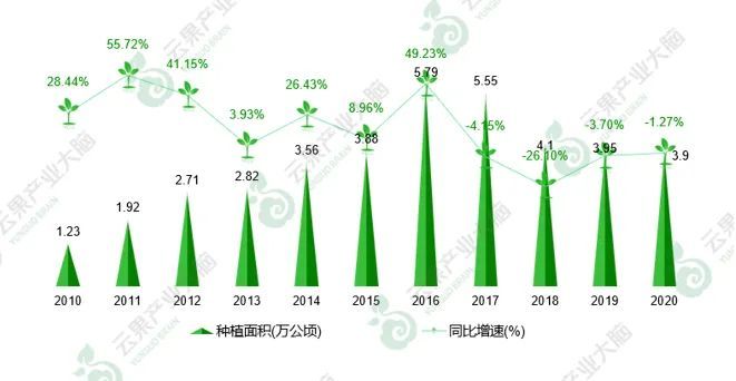 2021年云南省水果产业发展数据报告