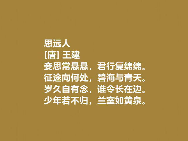 中唐重要诗人新乐府诗堪称名家王建这十首诗纯真自然真好
