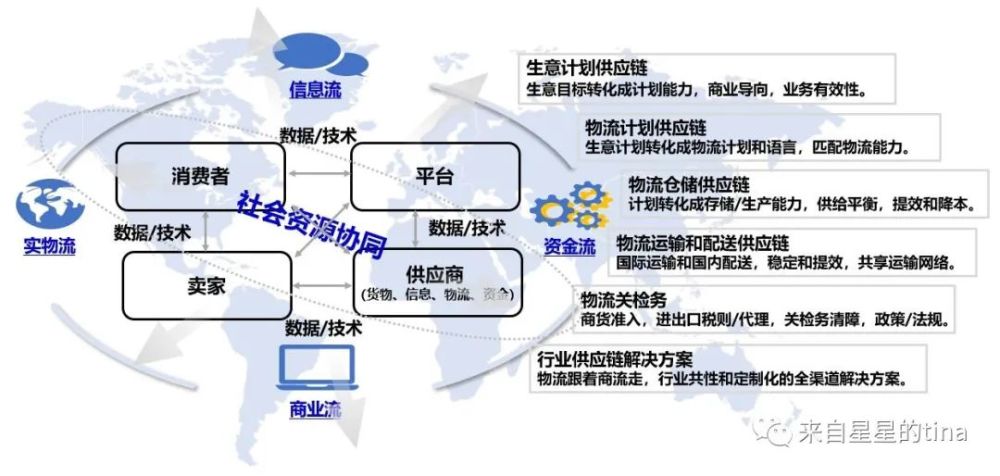 跨境供应链服务的市场动态洞察