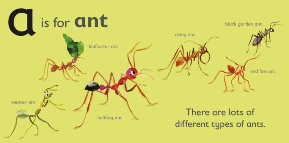 繪本|a表示螞蟻(a is for ant)_騰訊新聞